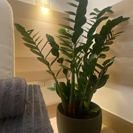 Apartman Dimora Vaticano Róma